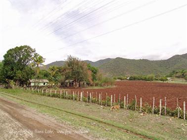 2010 Cuba, Chivirico, Hotel Brisas Sierra Mar, DSC00105b_B740